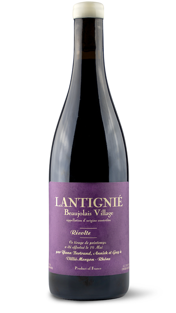 BTL-BIG-lantigne