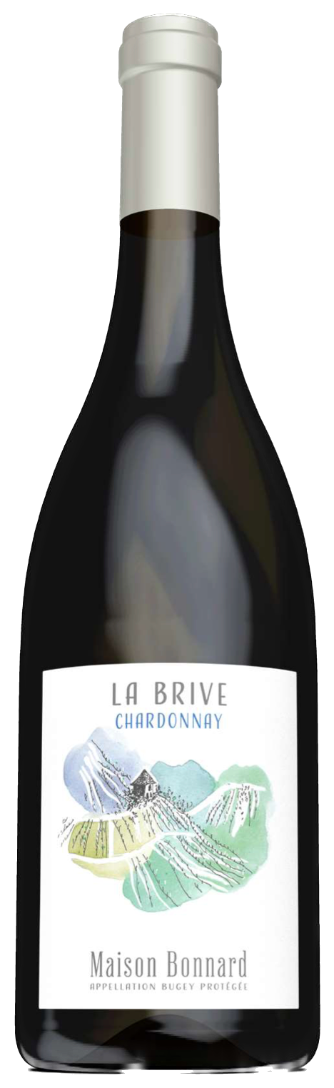 Brive  avec arrière-plan supprimé