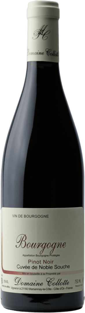 Bourgogne-Pinot-NM-min