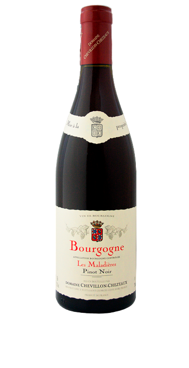 bourgogne-maladieres (2)