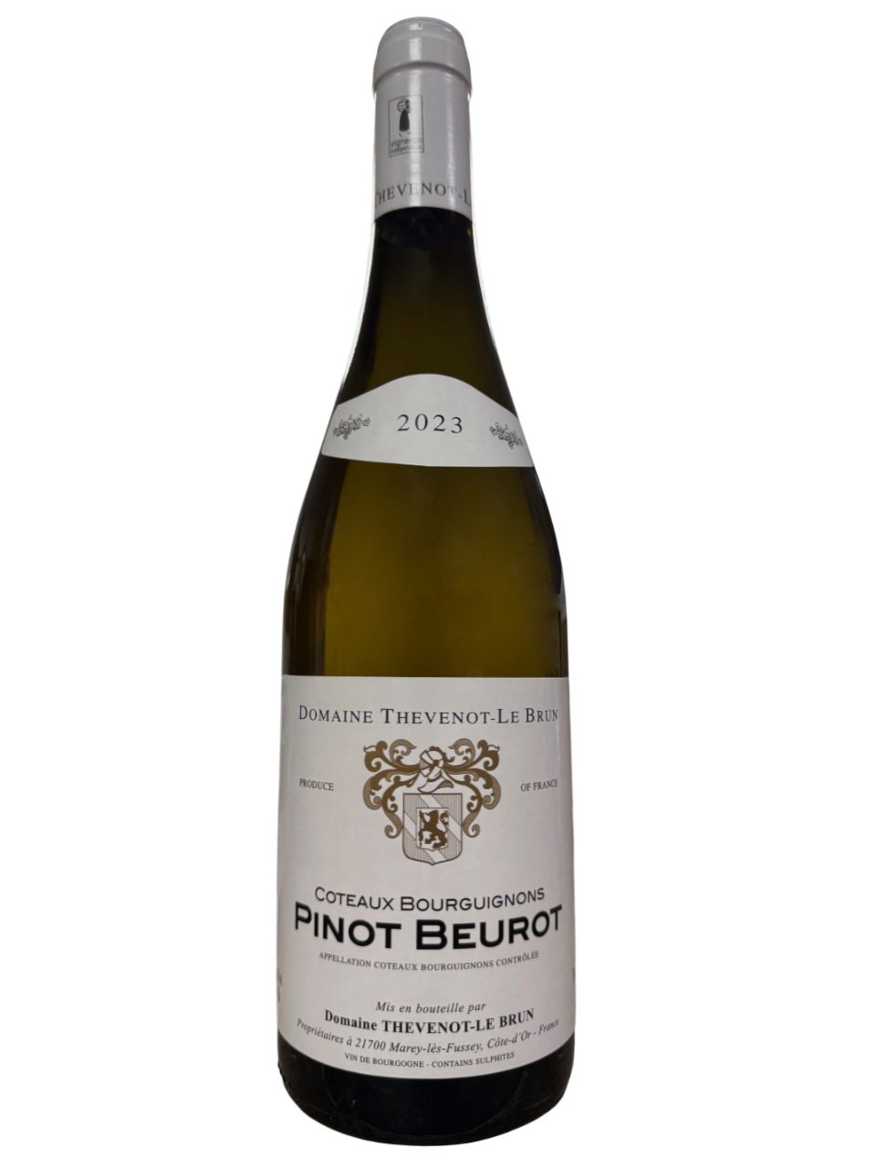 pinot beurot-Photoroom
