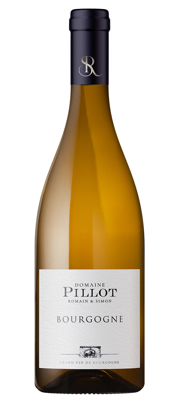PILLOT-bourgogne-blanc-web (1)