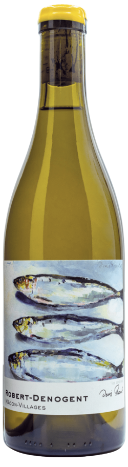 sardine (2)