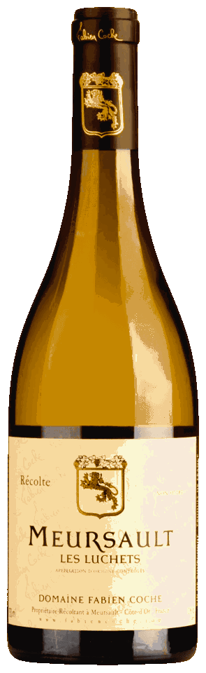 luchets fabien coche