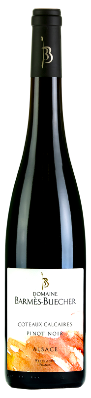 coteaux calcaires pinot noir (2)