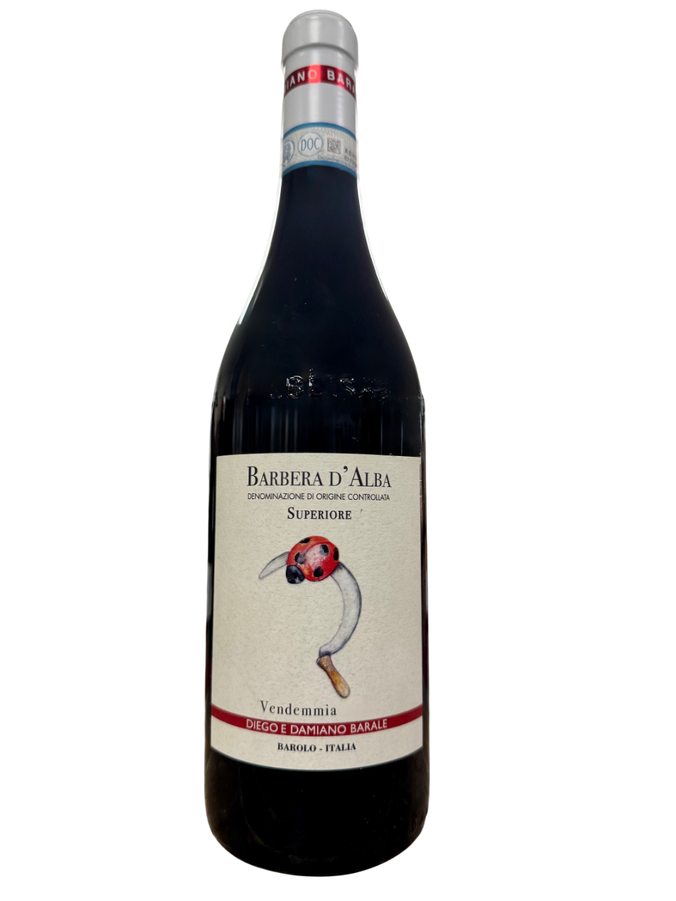 barbera alba
