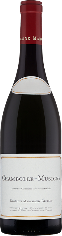 chambolle marchand grillot-Photoroom