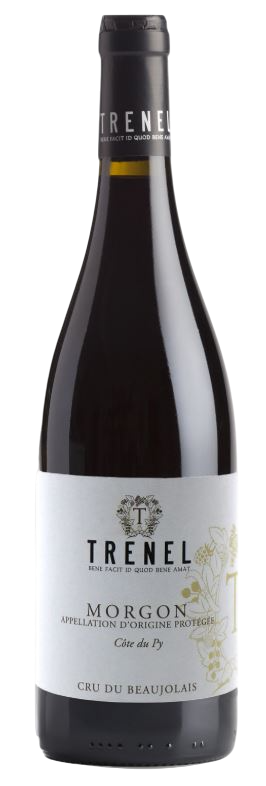 morgon cote du py