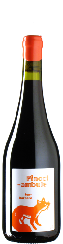 pinot-noir-le-pinoctamtube-2022-domaine-bornard-jura