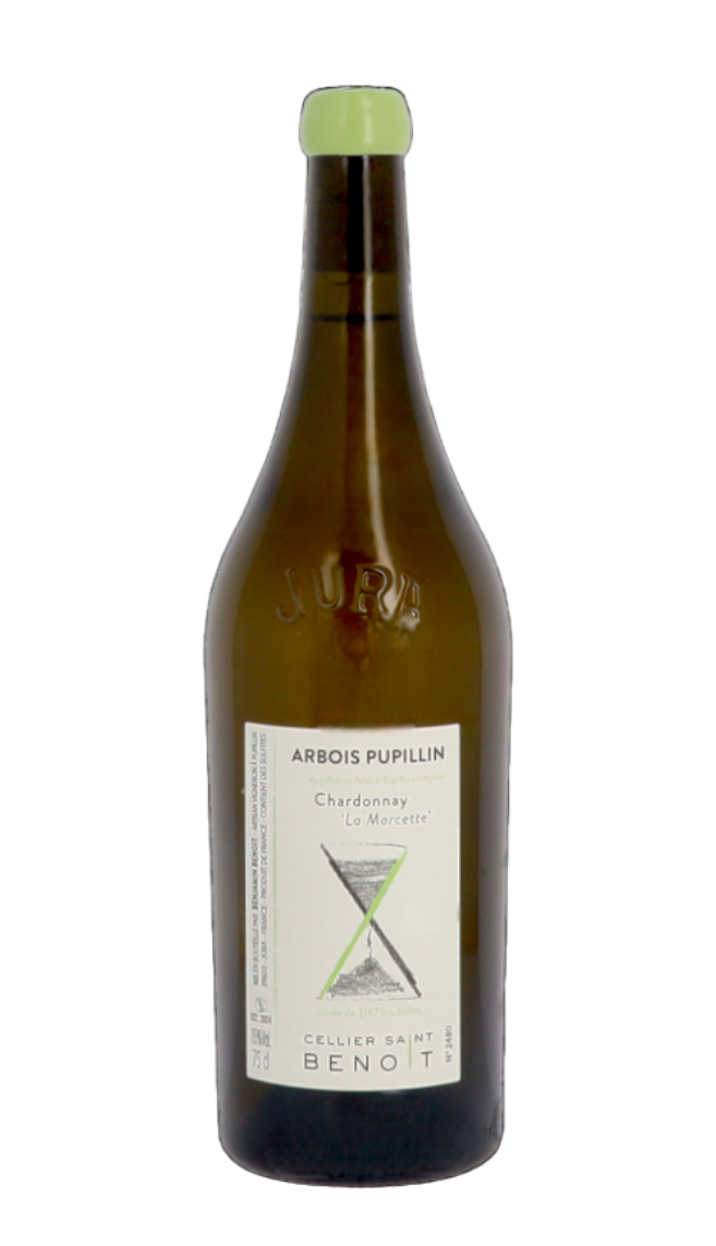 chardo marcette 1