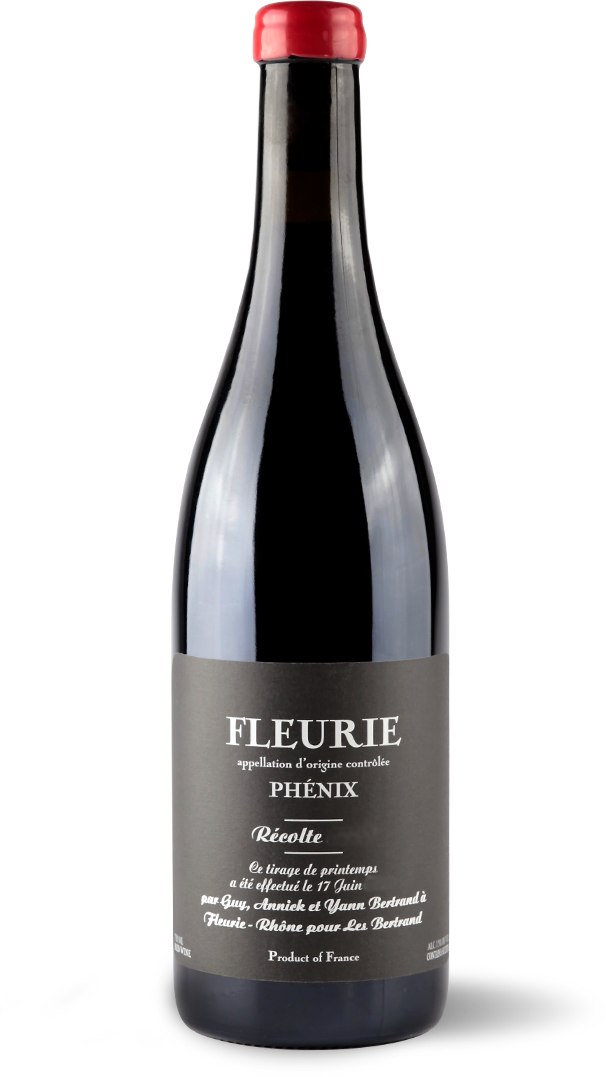 BTL-BIG-phenix