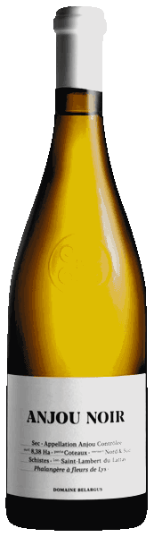 belargus anjou noir