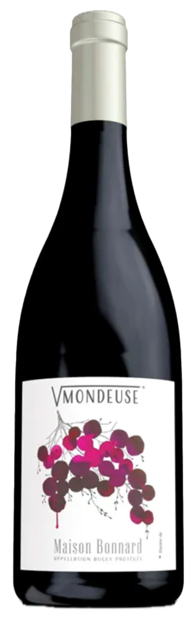 RacineMondeuse avec arrière-plan supprimé