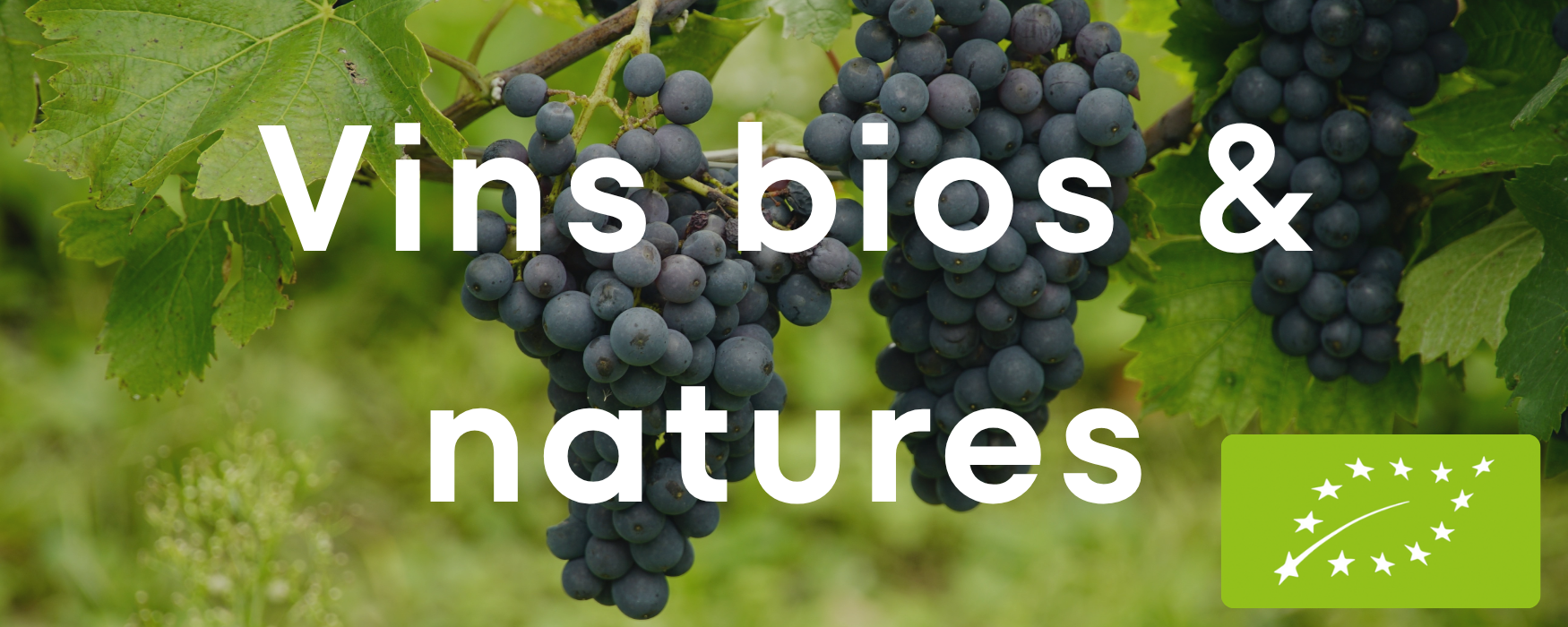 Vins Bio' & Natures