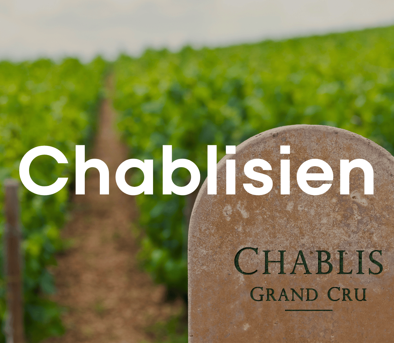 Chablisien & Grand Auxerrois