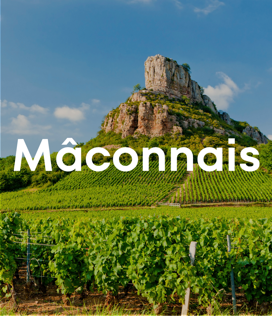 Mâconnais