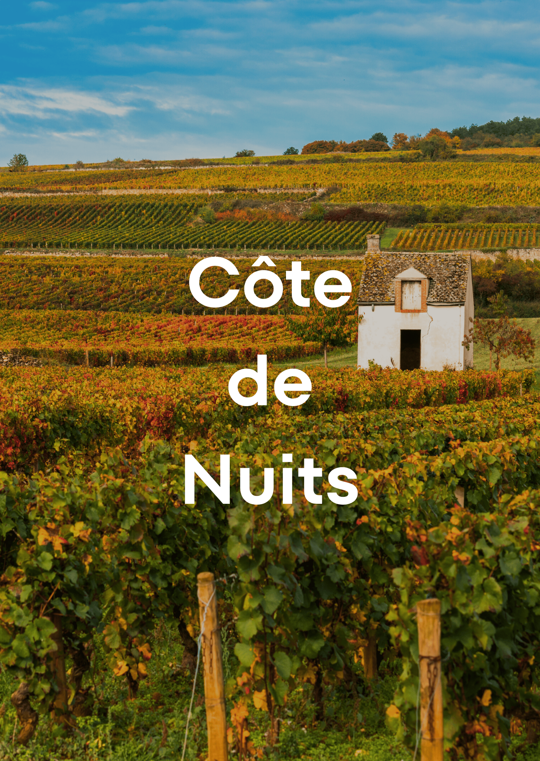Côte de Nuits