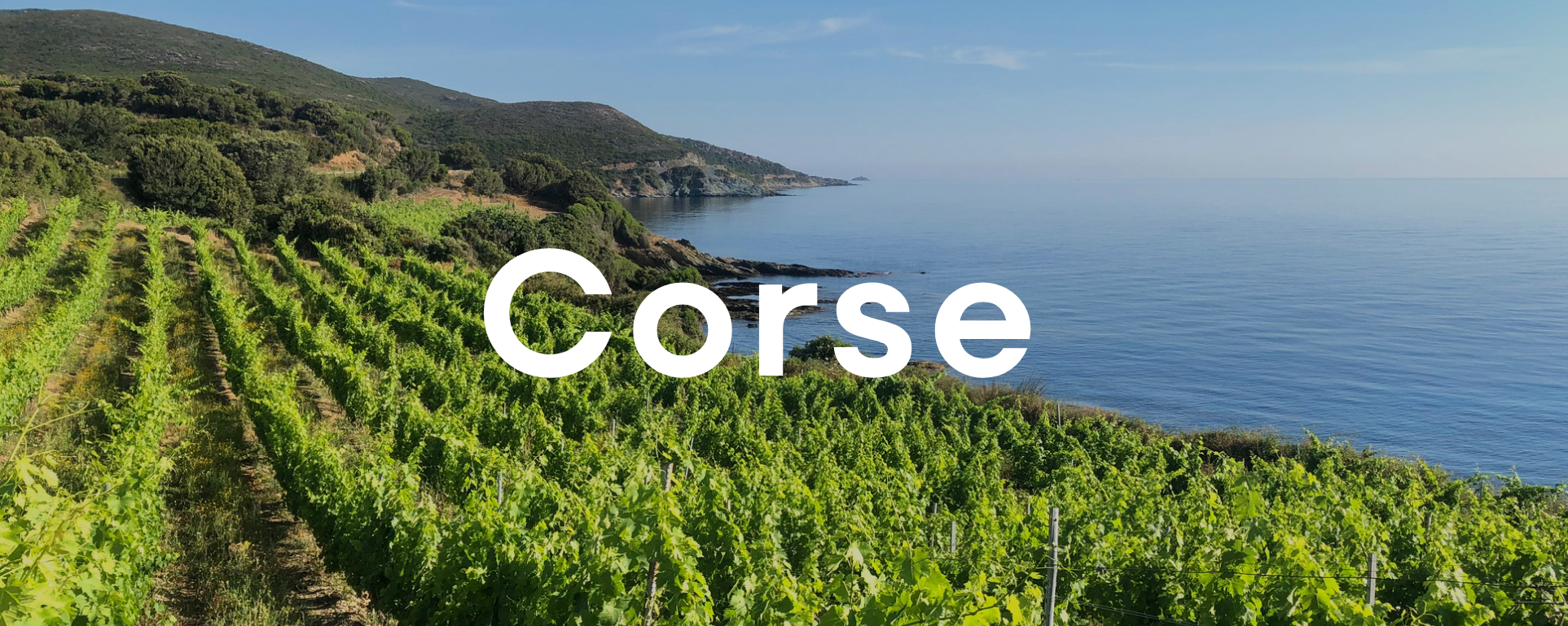 Corse