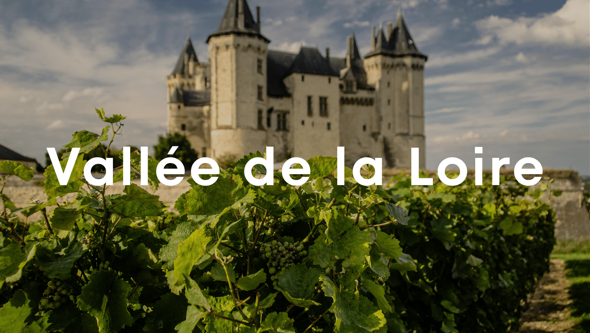 Vallée de la Loire