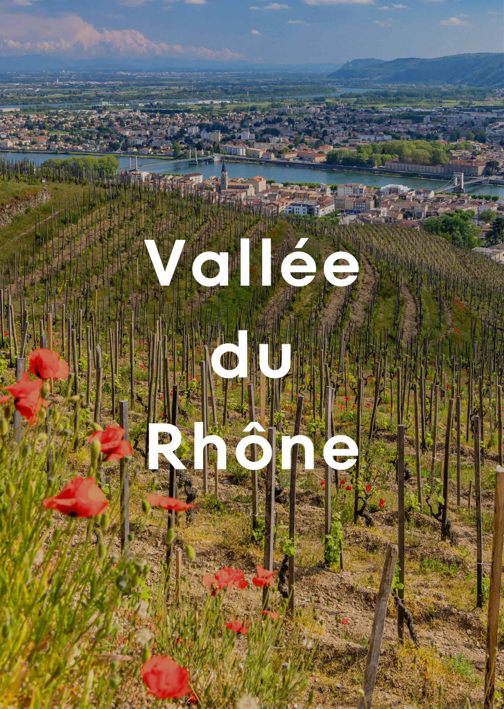 Vallée du Rhône