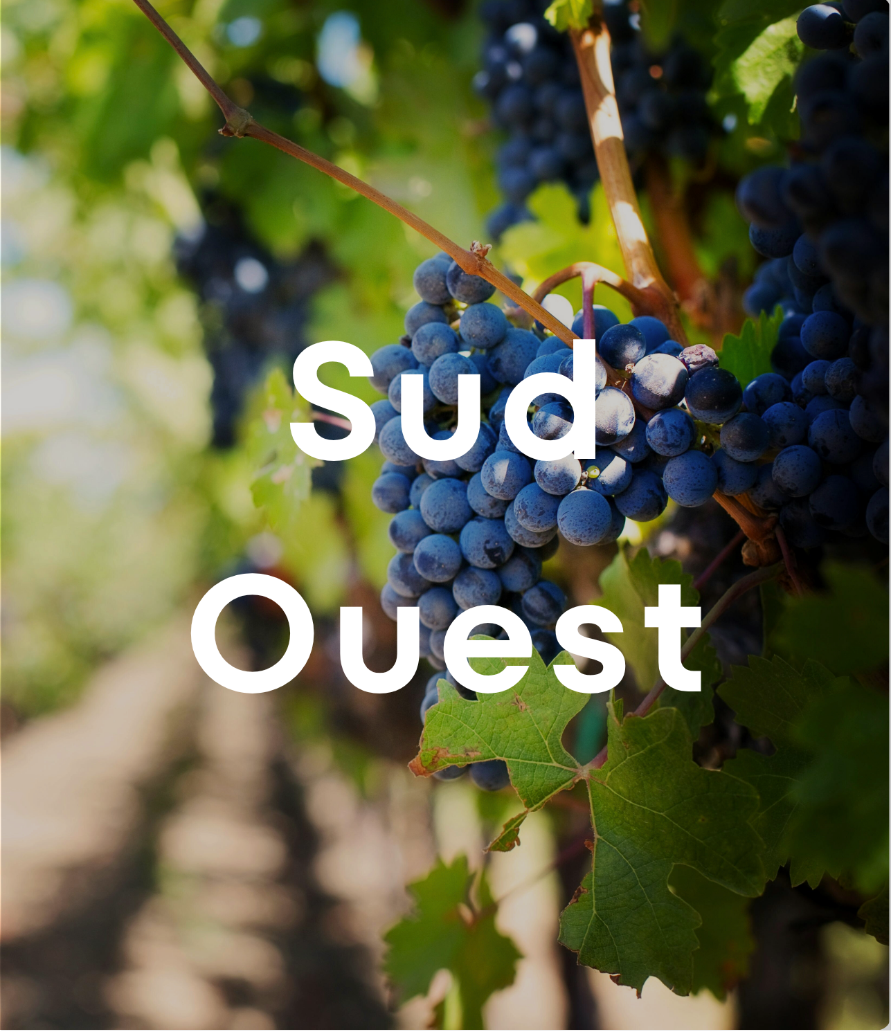 Sud Ouest