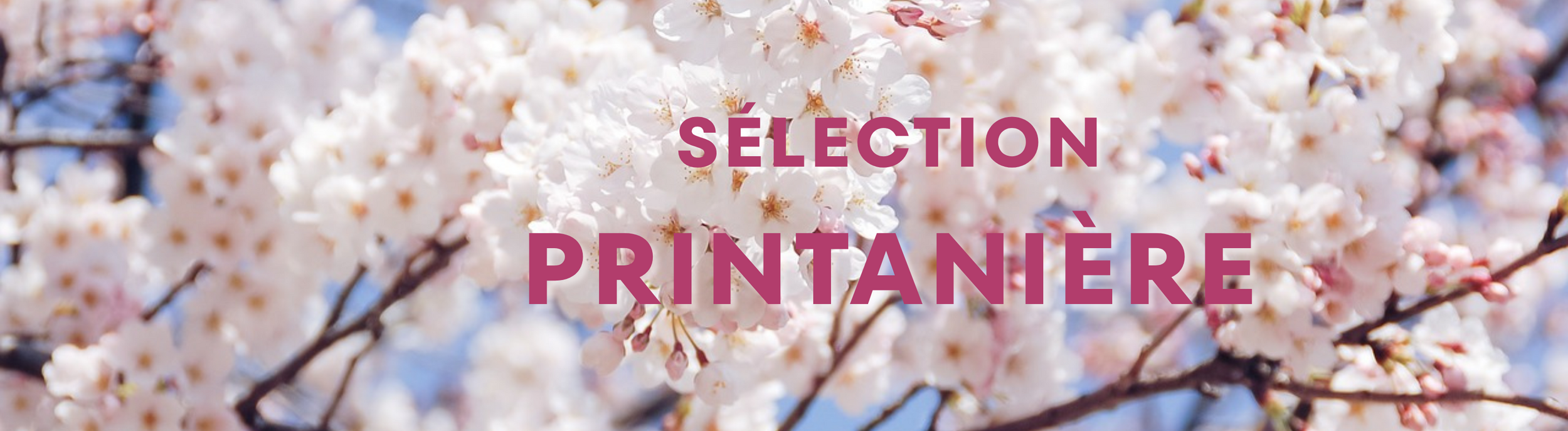 Sélection de Printemps