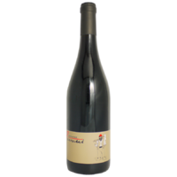 Mâcon Rouge - 2019 - Domaine Perraud