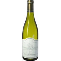 Bourgogne Aligoté Blanc - 2019 - Domaine Larue