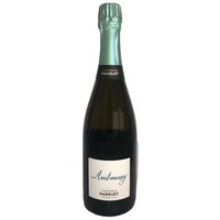 Champagne Grand Cru Ambonnay 2015 - Blanc - Champagne Marguet