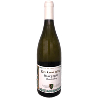 Bourgogne Chardonnay - Cuvée Flavie - Blanc - 2019 - Guy Amiot et fils