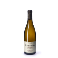 Bourgogne Chardonnay - Blanc - 2018 - René Bouvier