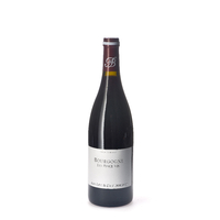 Bourgogne - Les Pince Vin - Rouge - 2018 - Domaine Jean-Luc et Eric Burguet