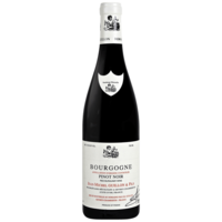 Bourgogne Pinot Noir - Rouge - 2021 - Domaine Jean-Michel Guillon