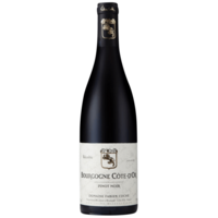 Bourgogne Côte-d'Or - Pinot Noir - Rouge - 2020 - Domaine Fabien Coche