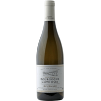 Bourgogne Côte-d'Or - Chardonnay - Blanc - 2020 - Domaine Guy Bocard