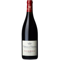 Mercurey 1er Cru Clos des Ruelles - Monopole - Rouge - 2018 - Château de Chamirey