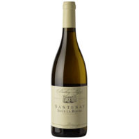 Santenay Blanc Sous La Roche - 2019 - Domaine Bachey-Legros