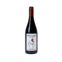 Vin de France - Raisins Gaulois - Rouge - 2022 - Domaine Mathieu et Camille Lapierre
