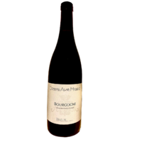 Bourgogne Pinot Noir - Rouge - 2020 - Domaine Alain Michelot