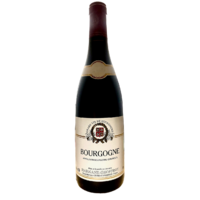 AOC Bourgogne - Rouge - 2021 - Domaine Harmand-Geoffroy - 75cl