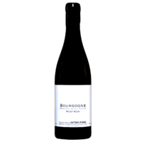 Bourgogne Pinot Noir - Rouge - 2021 - Domaine Antoine Jobard