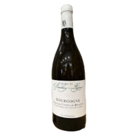 Bourgogne Hautes Côtes de Beaune - Blanc - 2021 - Domaine Bachey-Legros