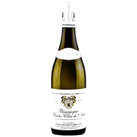 Bourgogne Hautes Côtes de Nuits - Blanc - 2021 - Domaine Thevenot Le Brun