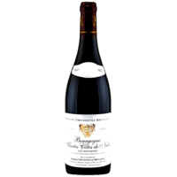 Bourgogne Hautes Côtes de Nuits - Les Renardes - Rouge - 2021 - Domaine Thevenot Le Brun