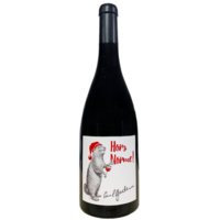 Vin de Savoie "Hors Norme" Gamay Mondeuse - Rouge - 2022 - Domaine Paul Gadenne