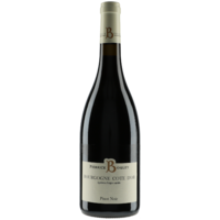 Bourgogne Côte d’Or Pinot Noir - Rouge - 2021 - Domaine Pierrick Bouley
