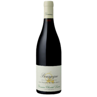 Bourgogne Pinot Noir « Les Taupes Maison Dieu » - Rouge - 2021 - Domaine Chantal Lescure