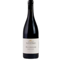 Bourgogne Pinot Noir - Rouge - 2020 - Domaine Paul et Jean-Louis Chavy