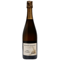 Champagne Bouzy Grand Cru - Le Jardin de la Grosse Pierre - Brut Nature - 2018 - Benoit Lahaye