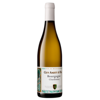 Bourgogne Chardonnay - Cuvée Flavie - Blanc - 2021 - Guy Amiot et fils